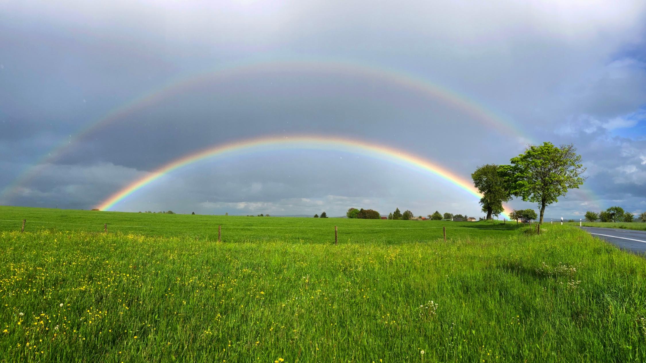 regenbogen