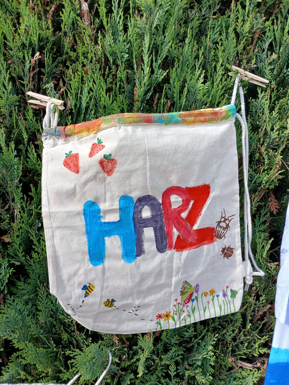 Harz 2026